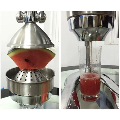 BlendX SteelPress – Manual Stainless Steel Citrus & Pomegranate Juicer